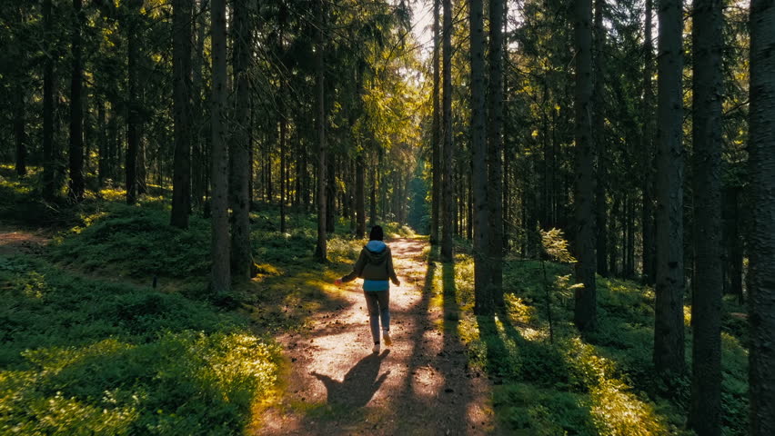 Slow motion of young woman running in the Bavarian forest in the opposite direction of the sun at sunset. Royalty-Free Stock Footage #1104982653