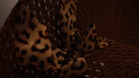 Vertical video of close up of wicker hat with animal print ribbon	 - Powered by Shutterstock - Get 15% off with code: PIKWIZARD15