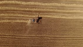 Aerial view of modern combine harvesting wheat on the field. Flying directly above combine. Top view. Agriculture scene.
