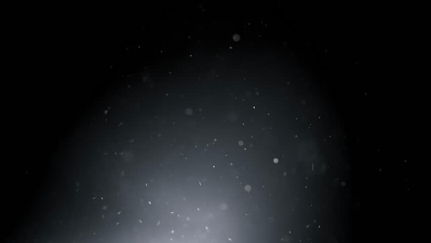 Shutterstock Video