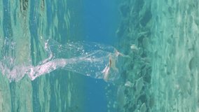 Vertical video, Plastic bag floating underwater, slow motion. Transparent disposable plastic bag drifts under surface of water, tropical fish swim nearby. Plastic pollution of Ocean