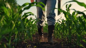 Farmer's feet in rubber boots go across field. Farmer walks through an agricultural field, holding tablet in hand. Owner farm walking through cornfield. Use of computer tablet in agricultural business - Powered by Shutterstock - Get 15% off with code: PIKWIZARD15
