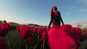 UHD Video of a Woman Exploring a Field of Blooming Tulips at Dusk