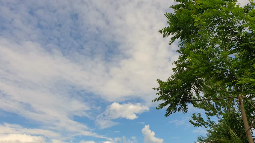 Travel to a beautiful destination rainy and dark atmosphere in Srinagar Jammu and Kashmir