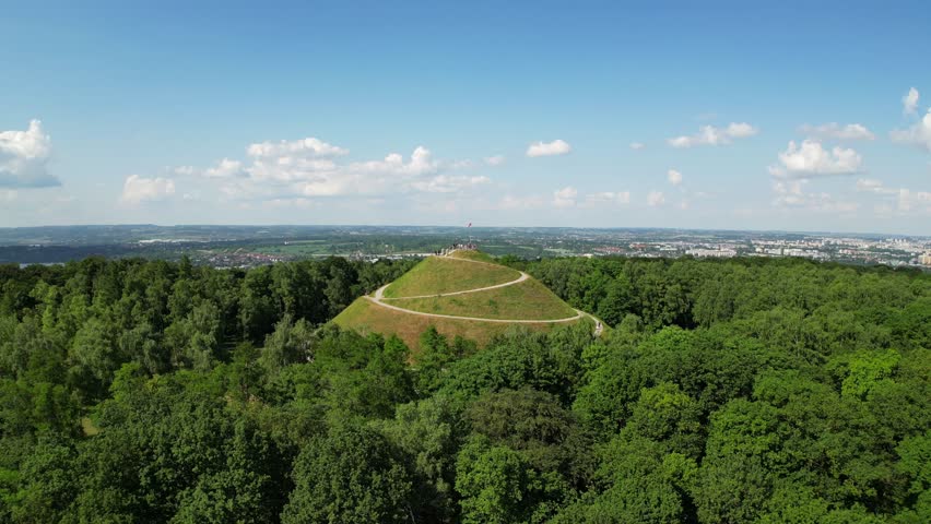 Mound in the middle of green forest