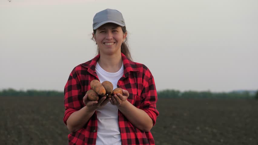agriculture carrot hands, farmer portrait smile face field harvesting carrot hands agriculture, organic meadow crops yellow 1 green slowly sunshine farming innovation portrait floral plantation
