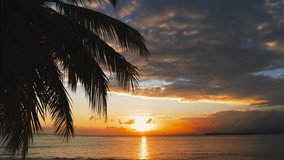 Summer evening on the pristine clean tropical island of Hawaii with a palm-fringed beach. Picturesque sunset landscape. Blue sea and sunny palm beach. Bright nature of the sea coast. Summer vacation.