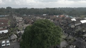 Aerial video view of one of the villages in Bali, Indonesia