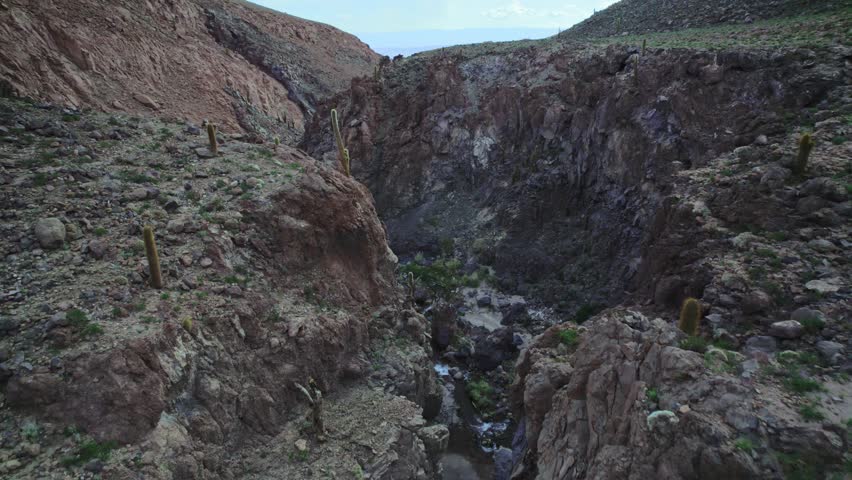 Aerial of Large Rocky Canyon with Cactus, Pampas Grass and River.