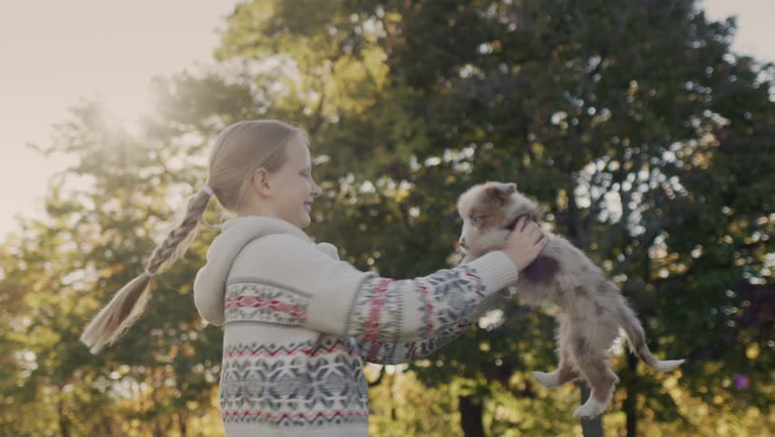 Happy child playing with a puppy in the park, have a good time together