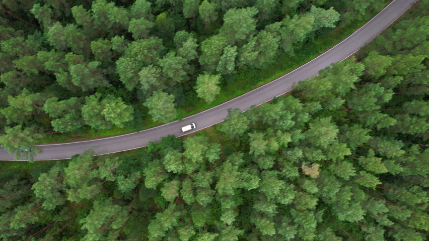 Express Delivery Shipping Service. Aerial View White Van Driving Down an Asphalt Road Crossing Vast Forest on Summer Day. Aerial Shot of Car Driving on Road in Pine Tree Forest. Scenic Landscape.