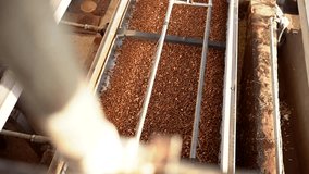 Pistachio, Gaziantep, machine. Processing video of Gaziantep pistachio. Video of drying and peeling processes