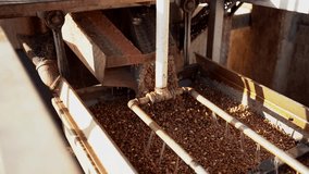 Pistachio, Gaziantep, machine. Processing video of Gaziantep pistachio. Video of drying and peeling processes