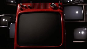 Different Animals on an Old Red Television. Close Up. 4K Resolution.