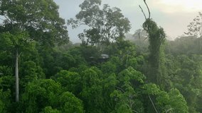 Aerial video over the jungles of Costa Rica with low clouds in the background