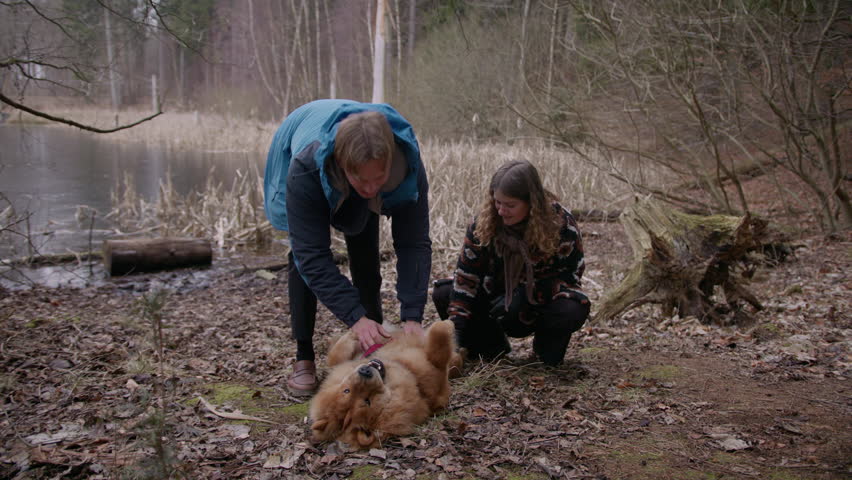 A Chow Chow dog lies on the ground and receives a belly rub from a couple after taking a walk near a lake