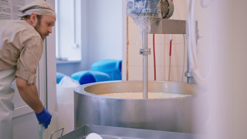 milk mixing at cheese factory cheese maker checks by hand in large tank Pasteurization Cheese production cheese factory