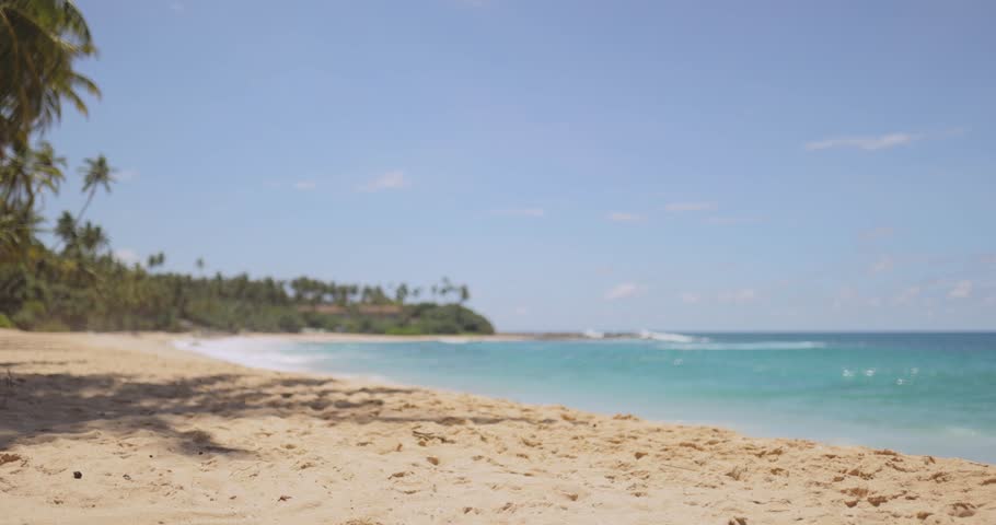 Tropical vacations concept. Stylish slim bikini beach woman in a black swimsuit having fun on a swing on palm tree bungee on tropical sea shore during summer vacations. High-quality conceptual 4k slow
