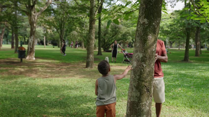 Happy Father and son playing hide and seek at the park
 Royalty-Free Stock Footage #1105104781