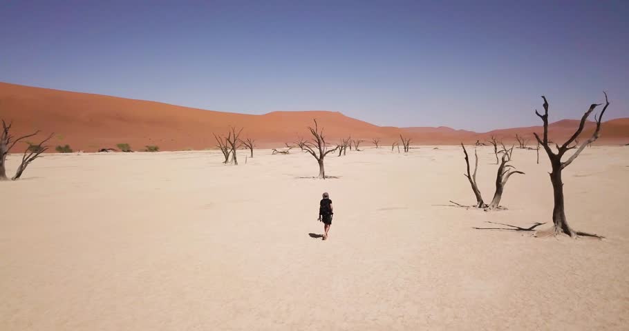 4K Aerial drone footage of a walking man near dead acacia trees in Deadvlei. Dry clay pan with red desert sand dunes in Sossusvlei or Sesriem in Namibia. Cinematic Namib Desert and Big Daddy dune. Royalty-Free Stock Footage #1105109165