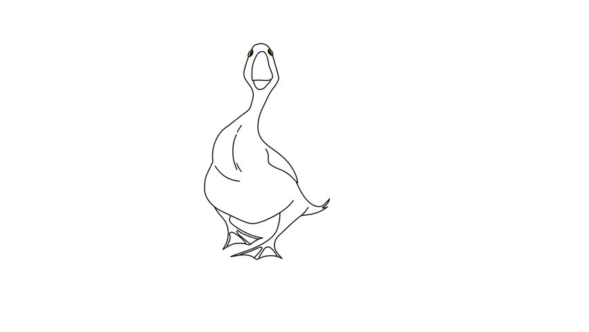 Animated Walking Duck Front View, On A White Isolated Background. 
Colorless 2d Hand Drawn Animation