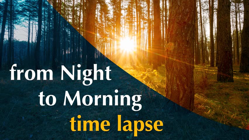 Beautiful Bright Sunrise Dawn In Coniferous Forest. 4k Forest Timelapse. Transition From Night To Morning. Sunlight Sunrays Shine Through Trees In Forest Landscape. Time Lapse, Time-lapse. Royalty-Free Stock Footage #1105123159