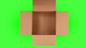 Top-down view of Bengal cat jumping in and out of an empty cardboard box on green screen isolated chroma key