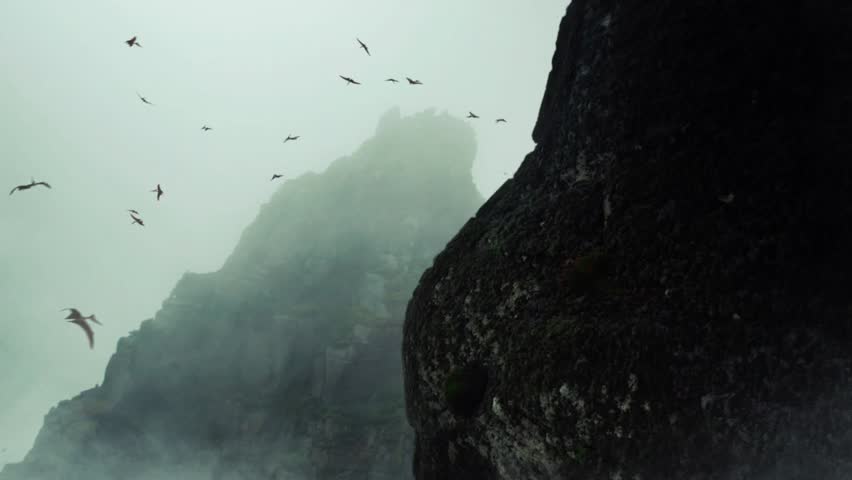 Dinosaur that vanished from earth 