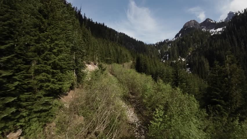 Green Trees in Mountain Landscape. Aerial View. Dynamic Flying in Nature. British Columbia, Canada. Sunny Day.