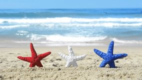 Conceptual summer holiday video of three red, white and blue starfish on the beach overlooking a turquoise ocean while celebrating the July fourth holiday.