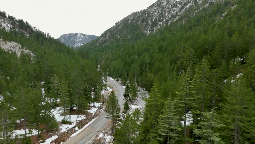 Winding asphalt road among majestic trees and high mountain landscapes in spring aerial view