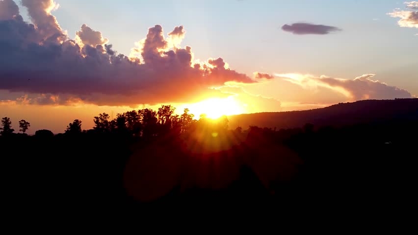 Sunset Forest At Green Background Countryside Forest Trees. Sunset Forest Landscape Brazil. Rural Sunset Outdoor Farm Beauty. Rural Road Forest Farm National Park Nature.