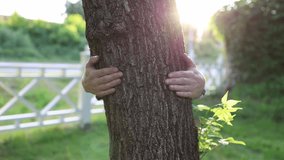  Female hands Hugging a Tree In a park, showing Love and Care for Nature and Environment of Earth 4K video