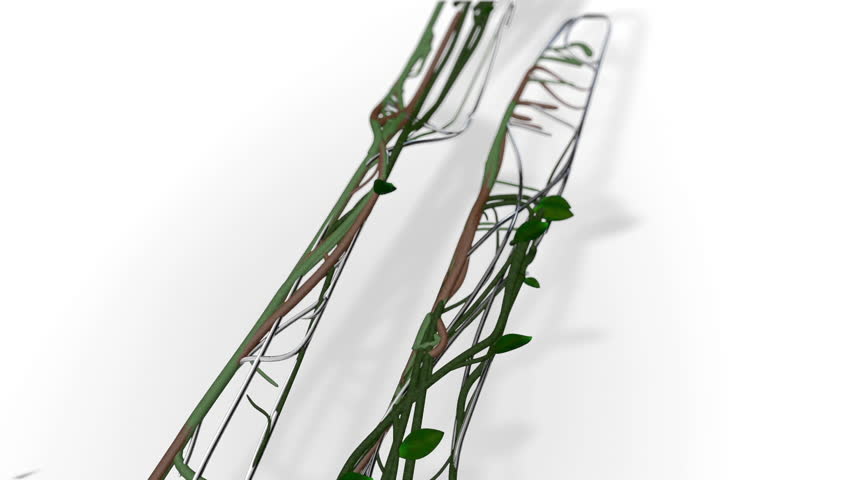 Utensils made of Plants Vegan Vegeterian Concept