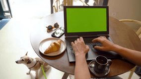 green chromakey screen laptop in cafe coworking space. Remote freelancer work outside with pet dog. template video footage. Sun glasses and croissant lunch time