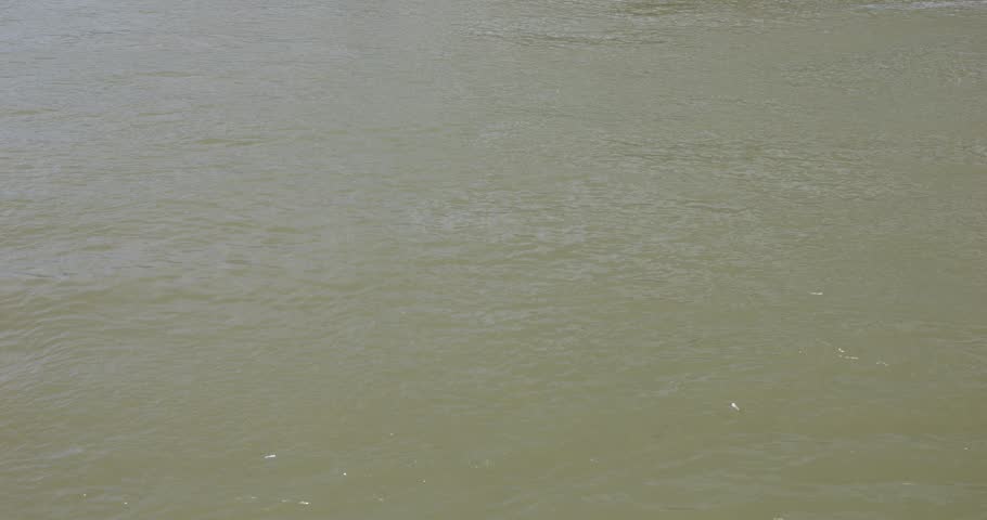 Petőfi Bridge (named after Sándor Petőfi) is a bridge in Budapest, connecting Pest and Buda across the Danube. It is the second southernmost public bridge in Budapest, Hungary.