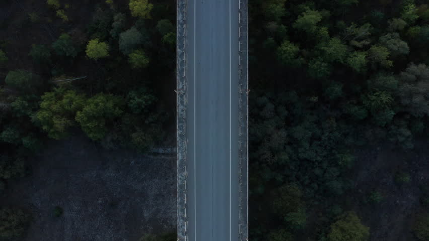 Horror-like scenery; empty bridge over scary forest and dark body of water.