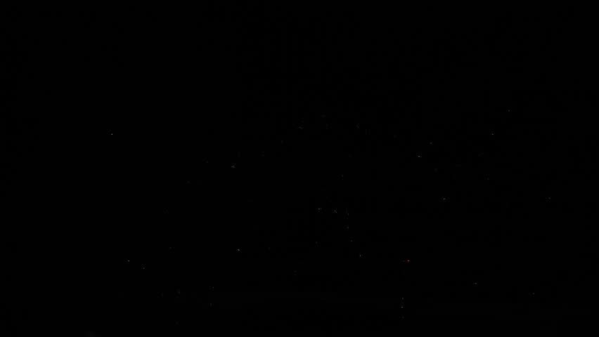 Blue and burgundy sparks firework flowers sparkling against the black night sky. slow motion