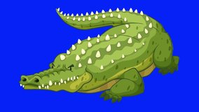 Cartoon animation Crocodile green screen video