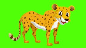 Cartoon animation idle Cheetah green screen video