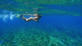 Woman Snorkeling Swimming in Blue Sea Underwater. Freedive in Ocean Water with Girl. Snorkeling and Diving in Deep Sea. Marine Life in Shallow Water. Person Swimming Near Coral Reef in Slow Motion 4k