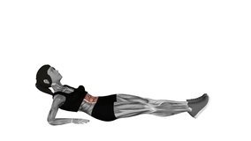 Alternate Leg Raise from Reverse Plank Position fitness exercise workout animation video female muscle highlight 4K