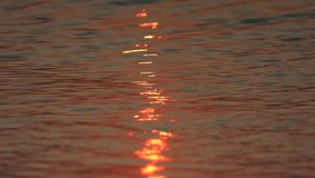 Close-up of sea water with golden lights, golden sunset reflections on the water. Calm big beautiful river Dnieper. The surface of the water in the light of the setting sun