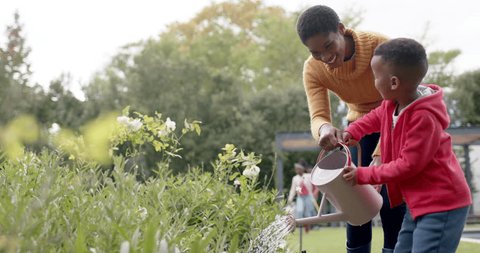 Happy african american son and mother watering plants in sunny garden, slow motion. Spring, childhood, happiness, gardening and lifestyle, unaltered. स्टॉक व्हिडिओ