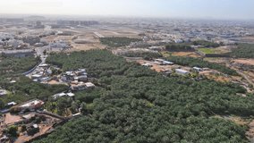 Medina, Saudi Arabia: Aerial shot of famous city in Arabia, city suburb with buildings in Arabic style and palm trees - landscape panorama of Arabian Peninsula from above