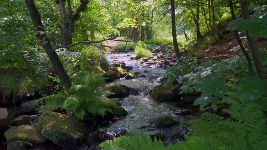 Slow flowing river stream flowing gently over rocky waterfalls. Wyming Brook, Yorkshire, UK