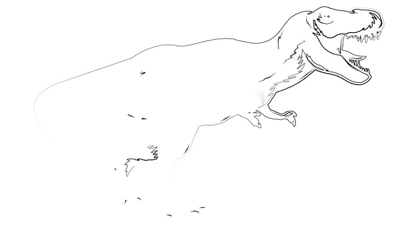 Animated self drawing of one continuous line draw roaring tyrannosaurus ...