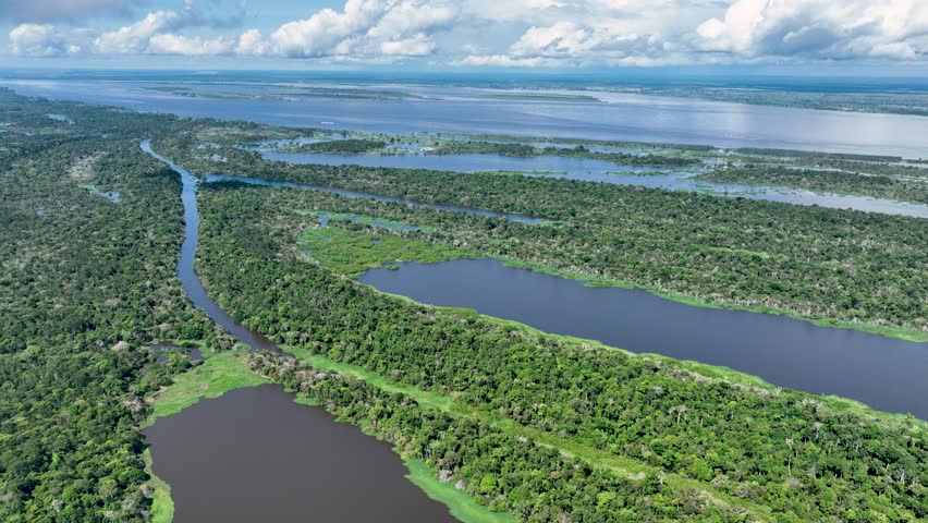 Amazon Rainforest At Manaus Amazonas Brazil. Forest Landscape Natural Landscape. Travel Amazon Background Jungle. Travel Outside Background Amazon Landmark. Travel Jungle Wild Life Amazonian.