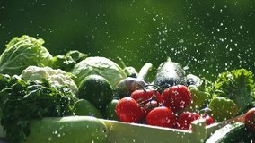 small local farm, farming concept, fresh vegetable crops. water splash slow motion. farmer selling fresh crops outdoor, tomato harvest, carrot, pepper, avocado, cabbage - Powered by Shutterstock - Get 15% off with code: PIKWIZARD15