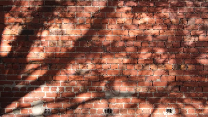 Background texture of an old classic red brick wall with the shadows of a swaying tree in the sunlight. Concept of retro atmosphere, aesthetic moment and a cozy afternoon. Copy space for your design. Royalty-Free Stock Footage #1105255669
